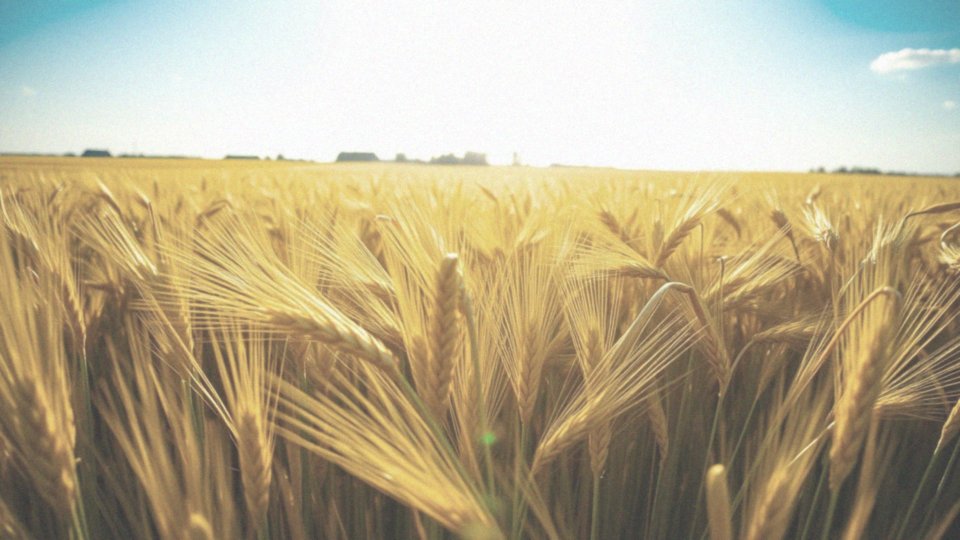 Jakie czynniki wpływają na naturalną produkcję witaminy D3 w skórze?