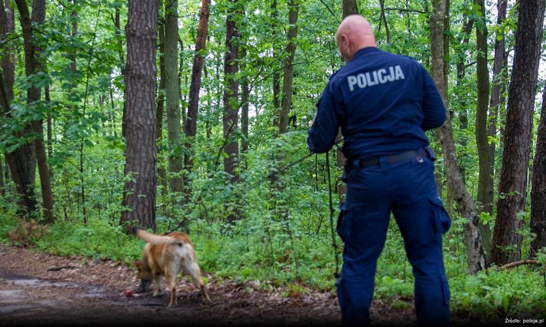 Edukacja przedszkolaków na temat bezpieczeństwa na drodze